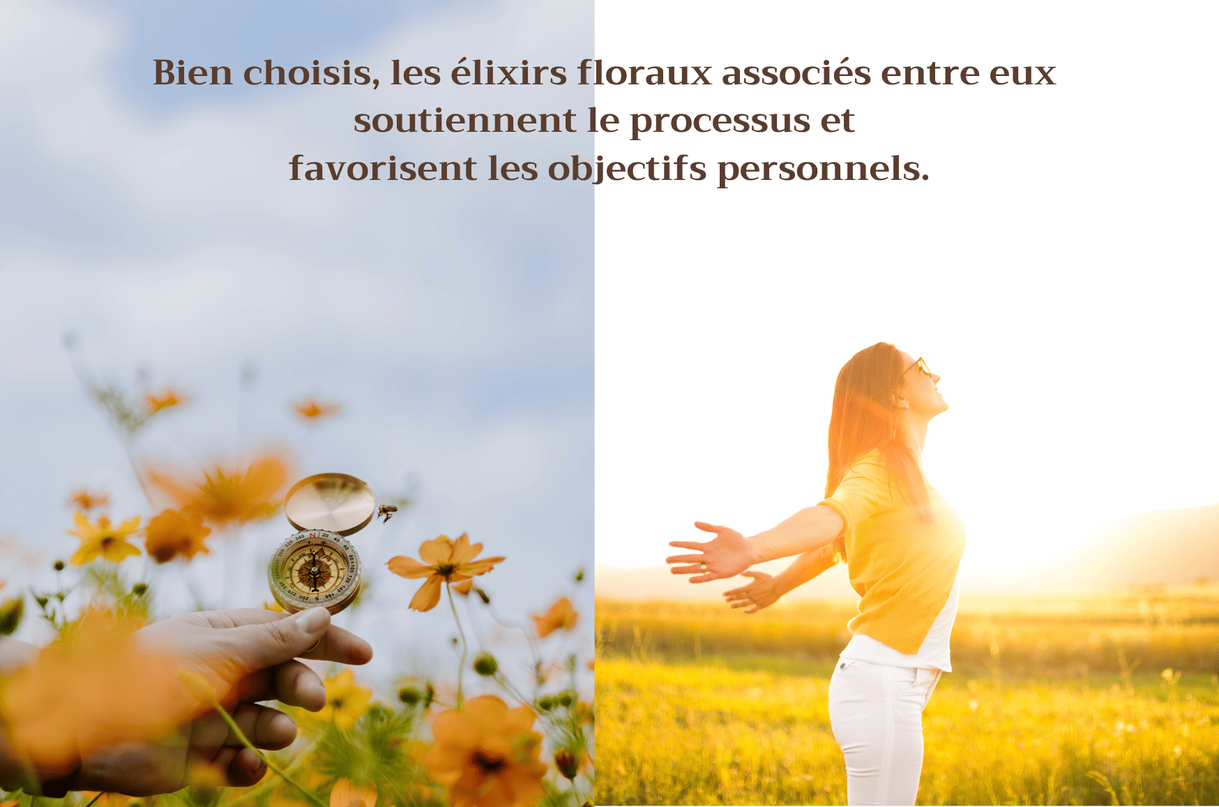 fleurs de Bach soutien