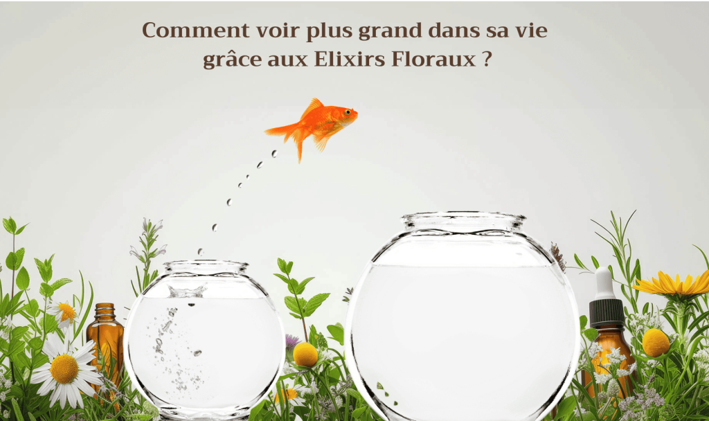 comment voir plus grand avec les fleurs de Bach