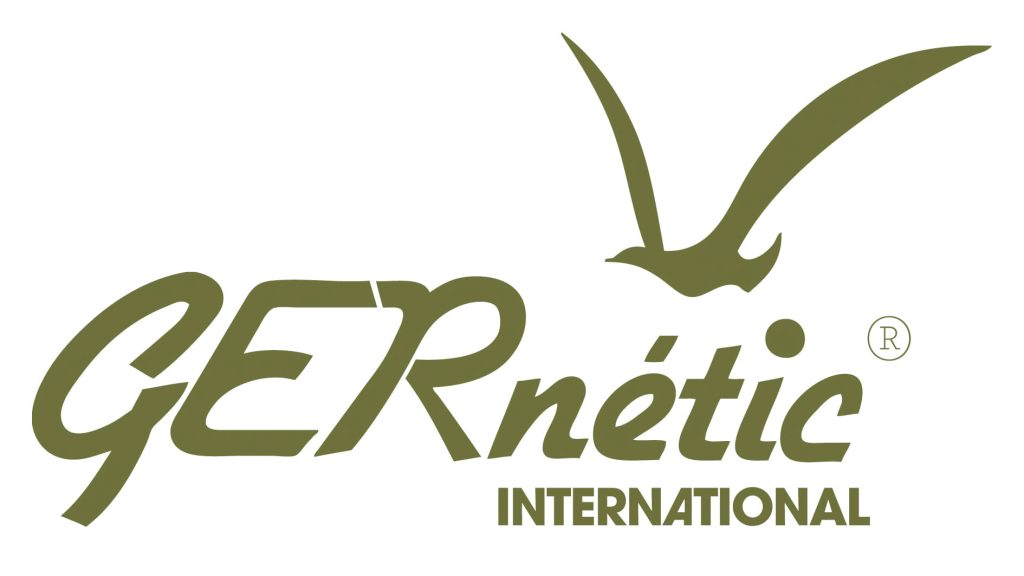 Logo GERnétic